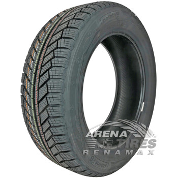 Point S Winter S 215/65 R17 99V