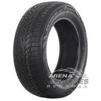 Doublestar WINTERKING DW08 215/55 R17 98T XL