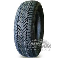Minerva FROSTRACK HP 205/55 R16 91H