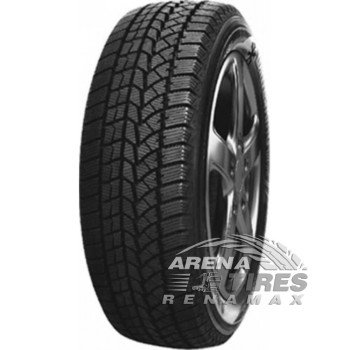 Doublestar WINTERKING DW02 195/55 R15 85T