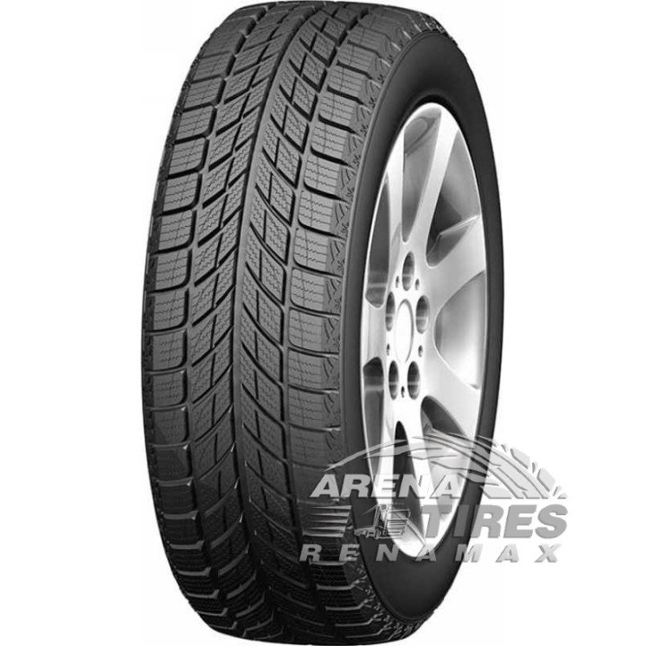 Doublestar WINTERKING DW09 255/50 R20 109H XL